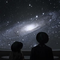 We Are The Universe