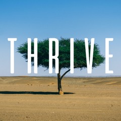THRIVE: LIVING BEYOND MY LIMITATIONS - MARK WILTSHIRE