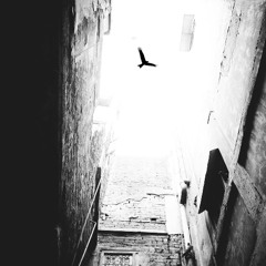 Crow