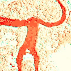 Gigant