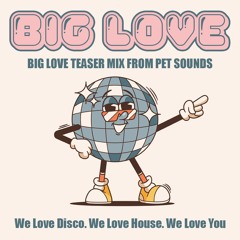 BIG LOVE TEASER MIX