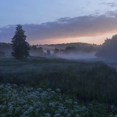 бутылка водки (prod. swkillmee)