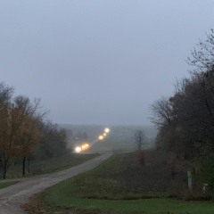 Everybody Loves Somebody