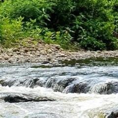 Merrin Karras - Still Life (Dj ifergan Remix)