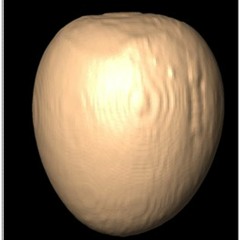 Arca a a - Cayó O o