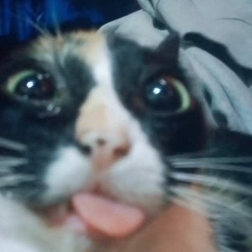 me when emotional depravation