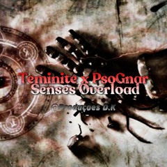 Teminite x PsoGnar - Senses Overload (edit audio)