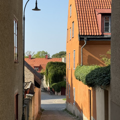 Joyce Wrice - On One (flip) (visby)