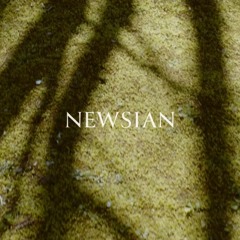NEWSIAN WEB (2019)