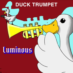 BUKEZ FINZET - DUCK TRUMPET (Luminous Edit)