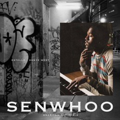 Estelle - American Boy feat Kanye West (sen whoo Remix)