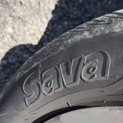 Sava