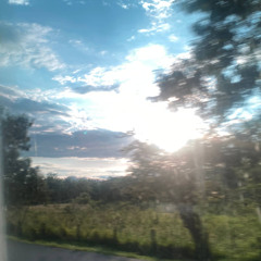 i took the bus by my own