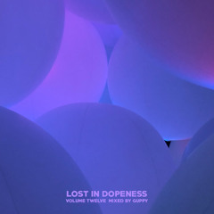 Lost In Dopeness Volume Twelve