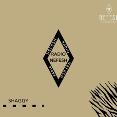 SHAGY - NEFESH Pool Party