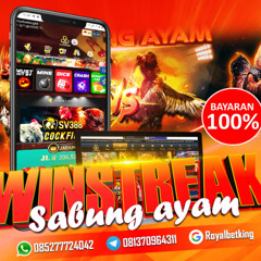 ROYALBETKING-BONUS WINSTRREAK SABUNG AYAM BAYARAN 100% #ROYALBETKING
