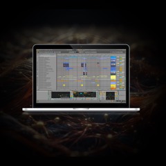 Ableton Project Files