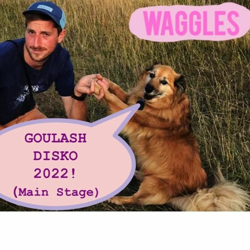 Waggles @ Goulash Disko 22 Main Stage