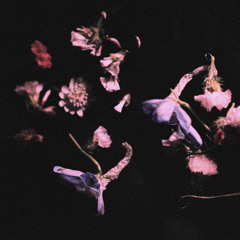 Somewhere Press Label Mix ~ Quietudes, Dublab 270225