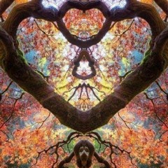 Joe Wink Guest Mix For Progressive Heaven 12.2020