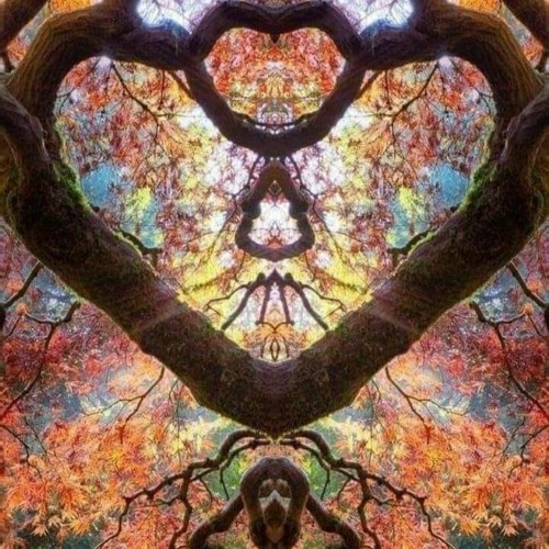 Joe Wink Guest Mix For Progressive Heaven 12.2020