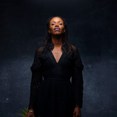 The Artistry of...KellyLee Evans