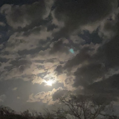 love potion x wutiwant