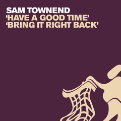 Sam Townend - Have A Good Time (Extended Mix)