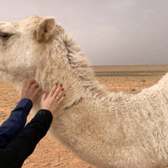 والخد براق النصوب ‏والعنق سلال وبلا |❥