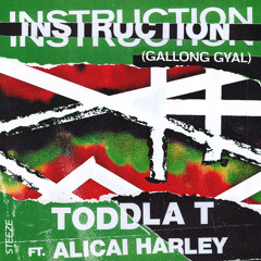 Instruction (Gallong Gyal) [feat. Alicai Harley]