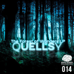 Forest Of Wonders (feat. Revolt)