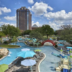 Best Things To Do With Family In Dallas Fort Worth Tours Reviews