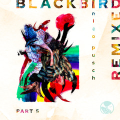 Blackbird (Plunk.ton Remix)