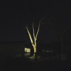 THF Radio - Jamuel - Vinyl mix for Rhizome Sound Diaries 12.09.2020