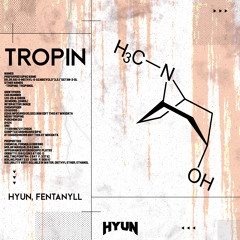 Tropin(Original mix)-HYUN, FENTANYLL[FREE]
