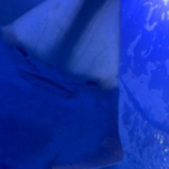 01 REC - 2023 - 08 - 11