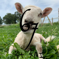 67 Sheep Remix ft. XAI