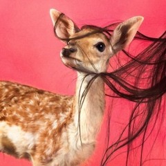 ميحد - يانسيم ريف النسمه