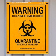 Its Time To Shine 3.0 "Quarantine Version"