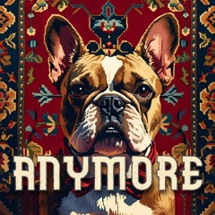 ANYMORE