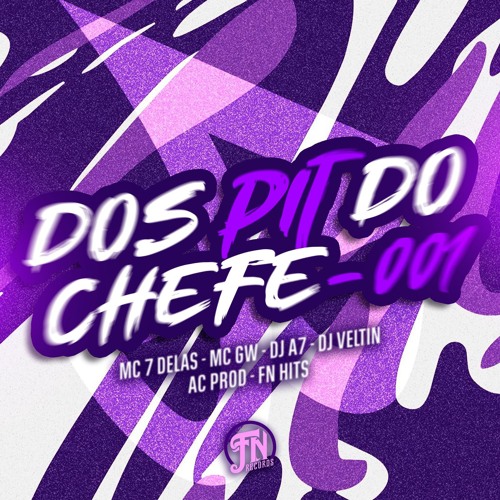 MTG DOS PIT DO CHEFE 001 - feat.MC GW & 7 DELAS - (DJ A7, DJ VELTIN & DJ AC PROD) - SBK X UDM X FNR