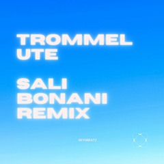 Sali Bonani - reyqbeatz Remix