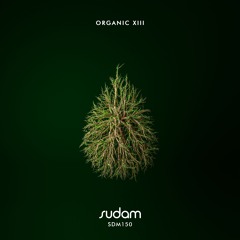 Aweil (Original Mix) [Sudam]