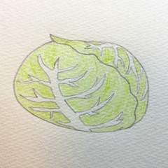 ふしぎのふ