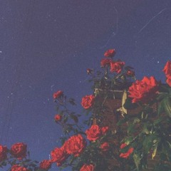 FIGURE.28 (OUNCE AGAIN 1997)