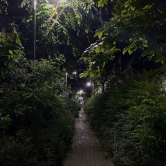 심규선 소로 小路 (cover)
