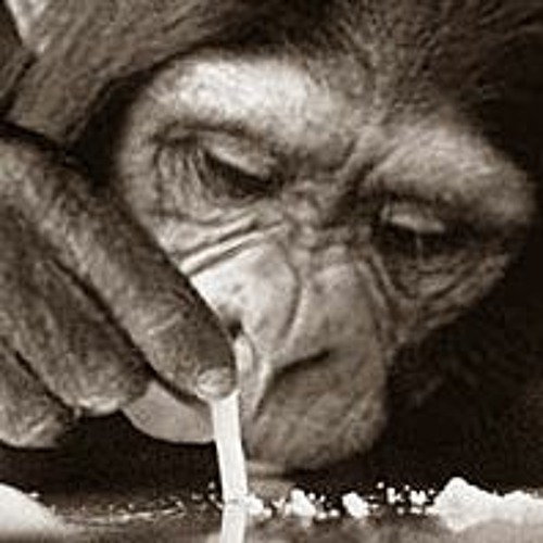 Stream Ski Mask Feat XXXtentacion Bowser (PROD. MASTER APE) by Master