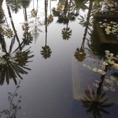 SummertimeSadness
