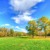 Artwork for Cg2 background music mp3 💕FREE DOWNLOAD