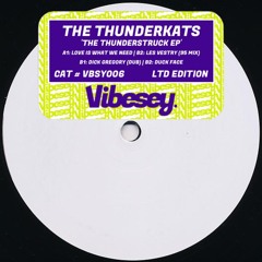 The Thunderkats - Les Vestry (95 Mix)